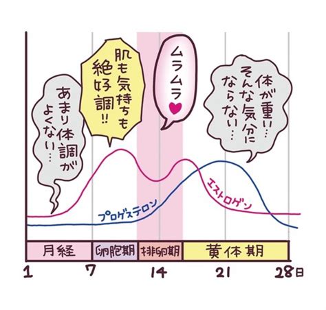 生理前 sex|女性の性欲が高まりエロい状態は生理前！ホルモン×性欲